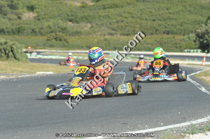DSC (4101).JPG